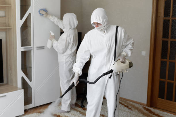 Affordable Sewage Cleanup solutions in Bailey Island, ME