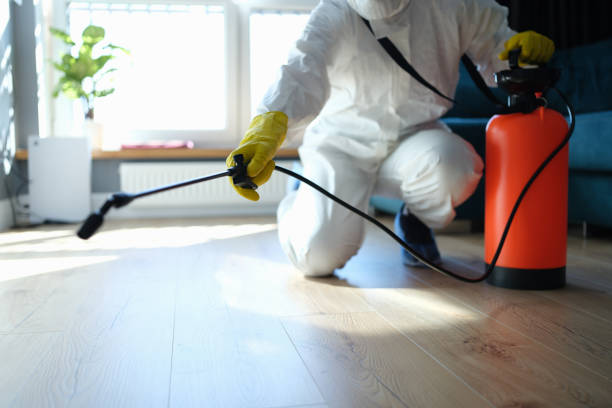 Reliable Sewage Cleanup contractor in Bailey Island, ME by Trauma Clean Pros